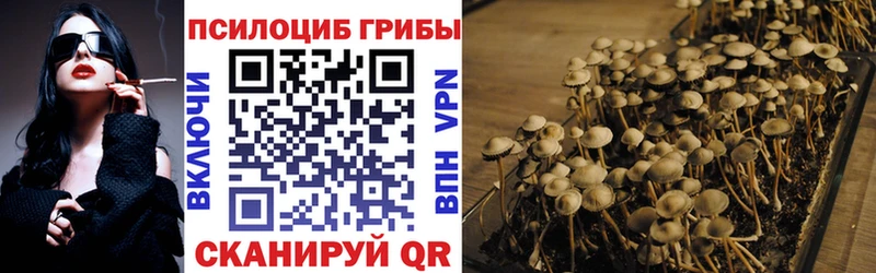 купить Катав-Ивановск OMG Галлюциногенные грибы Psilocybe